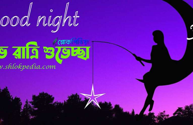 শুভ রাত্রি শুভেচ্ছা বার্তা, স্ট্যাটাস, ছবি