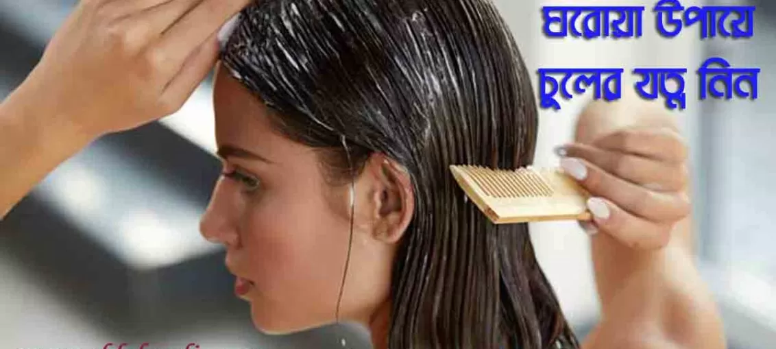ঘরোয়া উপায়ে চুলের যত্ন