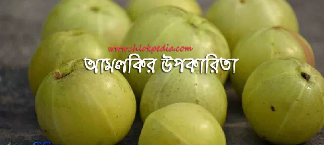 আমলকির উপকারিতা