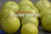 আমলকির উপকারিতা