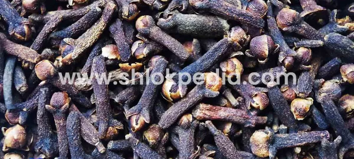 লবঙ্গের উপকারিতা