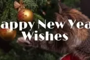 Happy new year wishes in Bengali language নতুন বছরের শুভেচ্ছা বার্তা