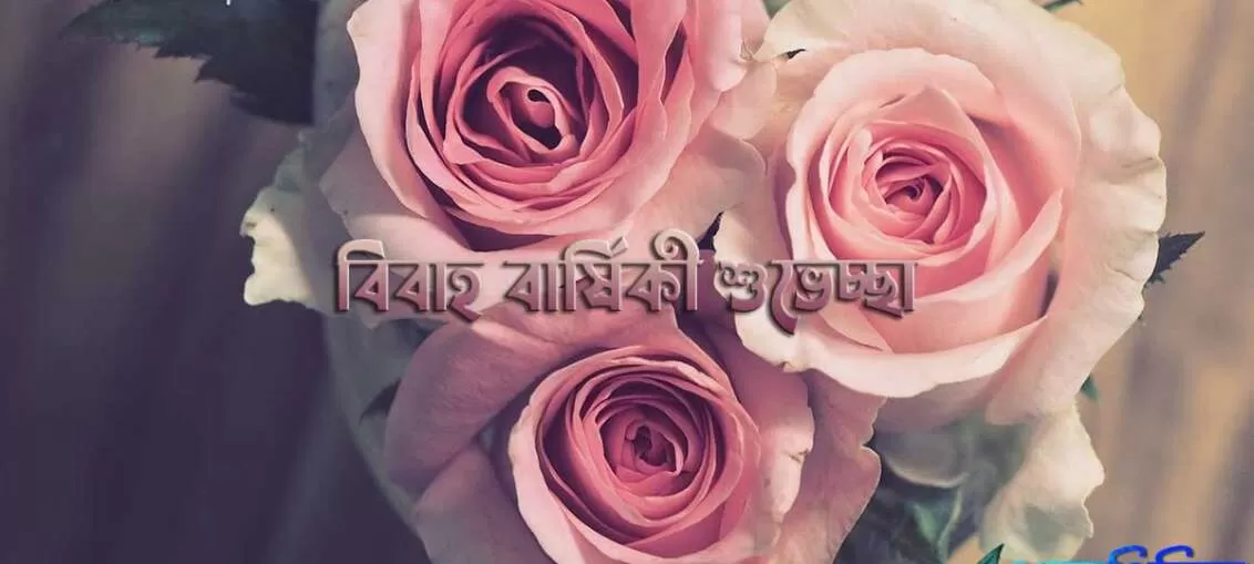 বিবাহ বার্ষিকী শুভেচ্ছা: Marriage Anniversary Wishes in Bengali